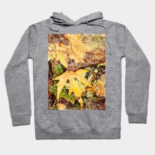 Fallen leaves floating in the river, 2, (Set of 3), fall, autumn, xmas, holiday, nature, forest, trees, winter, color, flowers, orange, art, botanical, leaves, leaf, floral, wet, rain, water, holidays, digital, spring, aqua, graphic-design, christmas Hoodie
